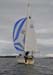 Linota under Spinnaker