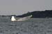 Capsized_6