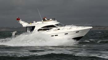 Moody Blue kicking up