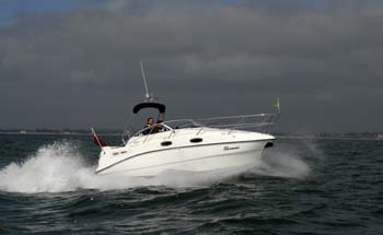 Shammi Punching a wave