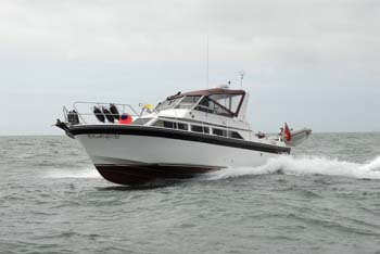 Tranquil riding a wave