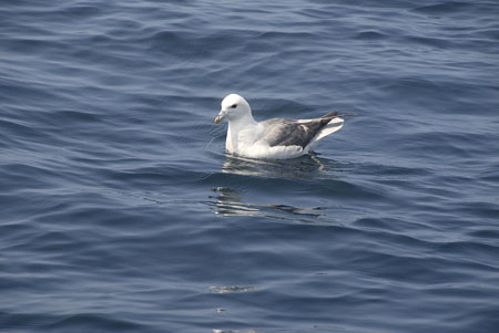 68 Our comfort break visitor